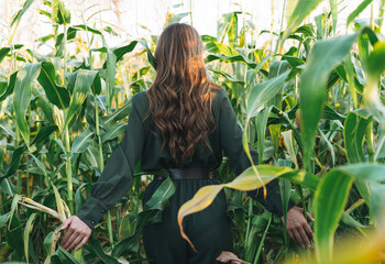 Young beautiful carefree long hair woman in sunglasses in sunset corn field, people from behind....