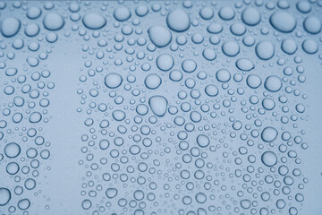 車の塗装にはじかれた水滴　ワックス　雨