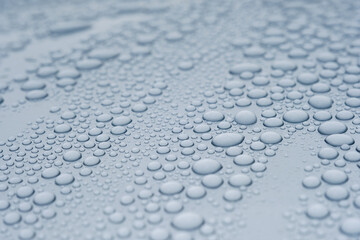 車の塗装にはじかれた水滴　ワックス　雨