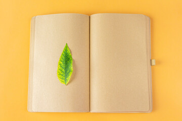 Blank open diary (notebook, sketchbook) with fall leafs. Concept of writing letter, wishes, goals, plans, life story. Autumn composition herbarium.
