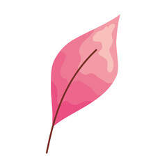 pink leaf icon