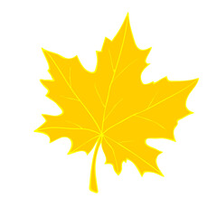 Vector golden maple leaf in flat doodle style, isolated on white background. Hand drawn clipart, symbol of autumn, nature, Canada