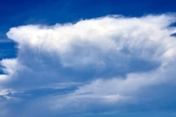 Fototapeta premium The fluffy clous with blue sky 