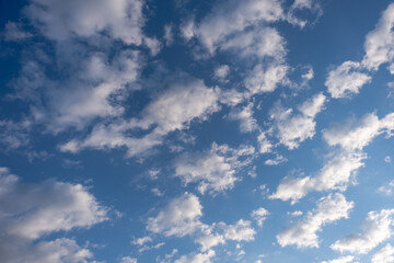 Fototapeta premium white clouds in the blue sky, cumulus,