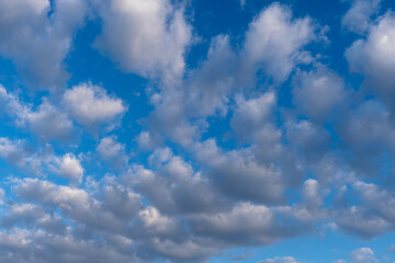 white clouds in the blue sky, cumulus,