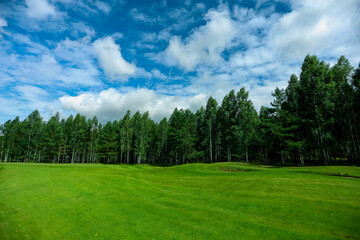 Fototapeta na wymiar Golf course, landscape, green grass on the background of the forest and a bright sky with clouds. High quality photo