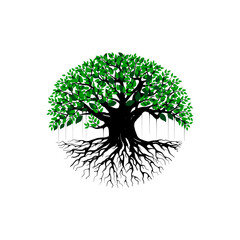 tree vector illustration. roots of banyan tree. mangrove plant