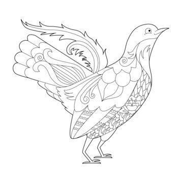 Fancy bird grouse. Black and white picture. Contour linear illustration for coloring book with paradise birds. Line art design for adult or kids  in zentangle style and coloring page.