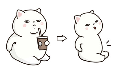 白猫のダイエット。before and after。