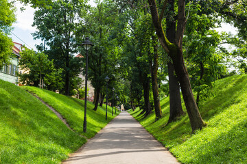 Fototapeta na wymiar ルーマニア　トランシルヴァニア地方のシビウの旧市街にある要塞公園の遊歩道　Citadel Park