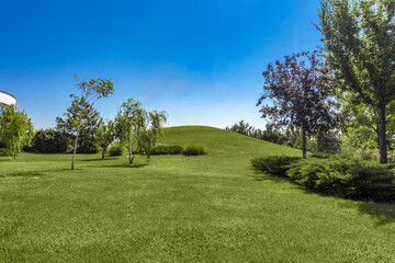 Fototapeta na wymiar Green parkland with trimmed lawn, hill and trees in summer