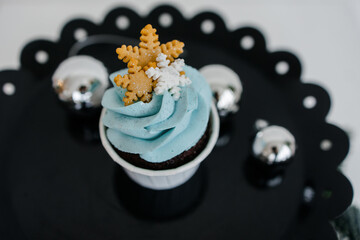 Christmas cakes on a black tray. Chocolate cupcakes with blue cream. Decor of spruce branches, decoration in the form of sugar snowflakes. white background.