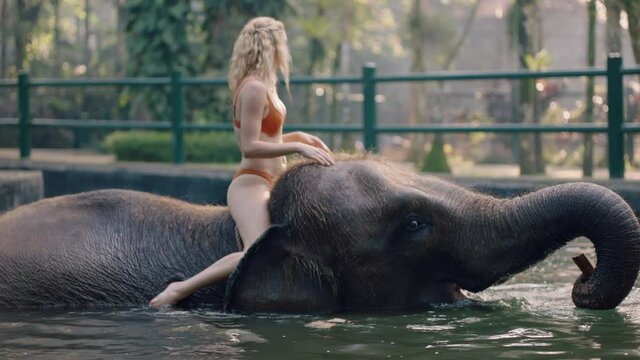 beautiful woman riding elephant in zoo playing in pool splashing water female tourist having fun on exotic vacation in tropical forest sanctuary