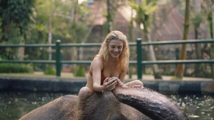 travel woman riding elephant in zoo playing in pool spraying water female tourist having fun on exotic vacation in tropical forest sanctuary