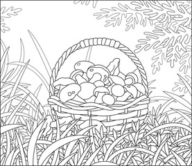 Big wicker basket full of picked mushrooms among grass on an autumn forest glade, black and white outline vector cartoon illustration for a coloring book page