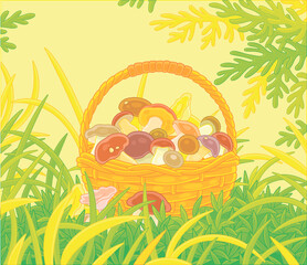 Big wicker basket full of picked mushrooms among grass on an autumn forest glade, vector cartoon illustration
