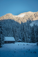 Small wooden buildings on a hillside, Western Tatra Mountains, Poland. Sunrise over a rocky ridge. Cold December morning. Selective focus on the forest, blurred background.