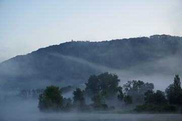 Morning mist at the banks of the river Rhine
