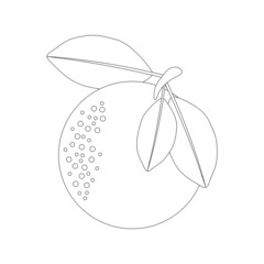 Citrus orange with leaves linear icon on a white background. Thin black line customizable illustration. 