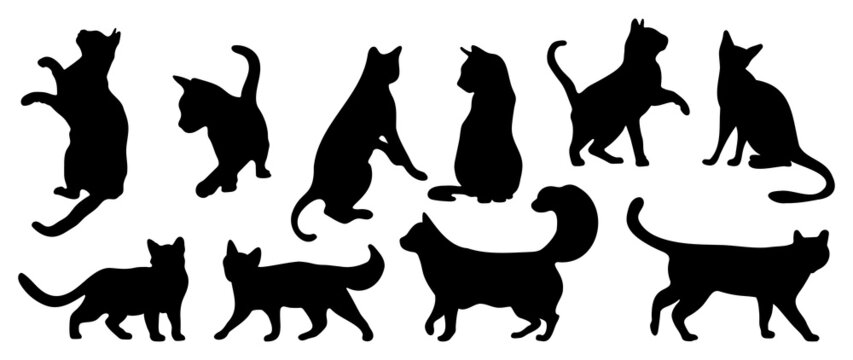 Cats Vector.  Isolated cat silhouette design for logo, print, decorative and sticker.