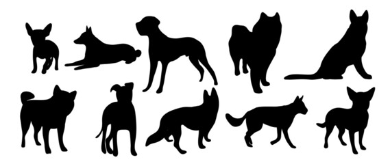 Vector silhouette of a dog on a white background.