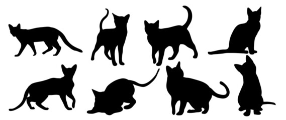 Cats Vector.  Isolated cat silhouette design for logo, print, decorative and sticker.
