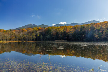 紅葉に燃える知床五湖