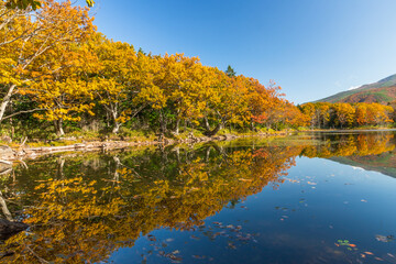 紅葉に燃える知床五湖