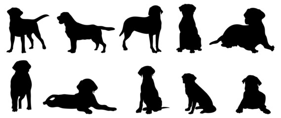 Vector silhouette of a dog on a white background.