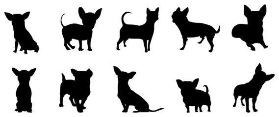 Cats Vector.  Isolated cat silhouette design for logo, print, decorative and sticker.