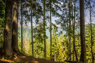 Fototapety na wymiar - Fototapeta24.pl