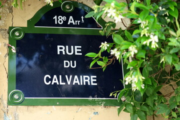 Rue de Calvaire. Plaque de nom de rue. Paris. Avec feuillage et fleurs blanches.