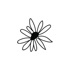 One Vector Botanical Illustration Chamomile with black line on white background. Floral, Summer hand drawn doodle style picture. Designs for packaging, social media, web, cards, posters, invitations.