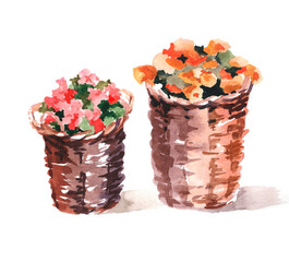 Fototapeta na wymiar Baskets with flowers watercolor isolated on white background illustration for all prints.