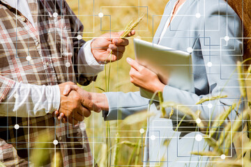 An agronomist showing the quality of grain crops to a businesswoman with tablet in a rye field. Teamwork of a farmer and a business woman in agriculture.	