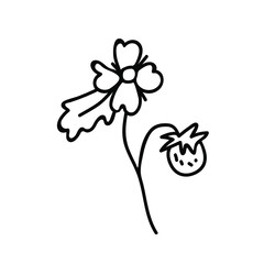 One Vector Botanical Illustration Wild Srawberry with black line on white background.Floral,Summer hand drawn doodle style picture.Designs for packaging,social media,web,cards, posters,invitations.