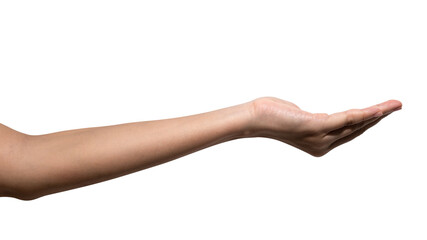 Fototapeta premium isolated of a woman's hand holding something like a bottle or can. 