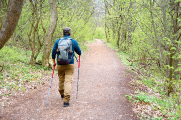 Person taking nordic walking in the woods