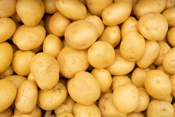 The new harvest white potatoe sold at city farmers market