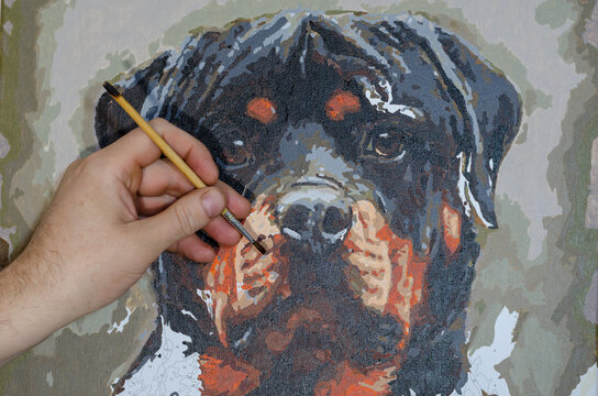 Man paints picture by number. Portrait of Rottweiler dog. Learning to draw, home entertainment. Talent and Creativity Concept.