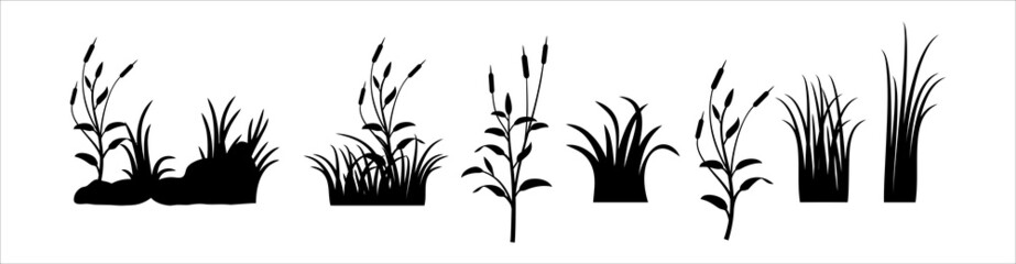 Fototapeta na wymiar Meadow vector set. Green grass vector silhouette. Grassland vector illustration.