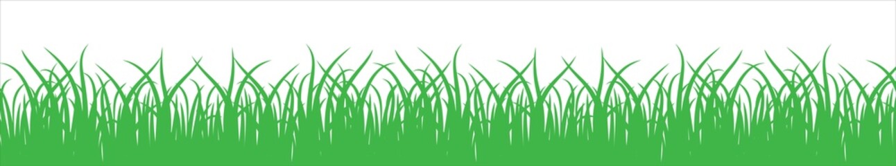Fototapeta premium Green meadow vector illustration. Green grass vector silhouette