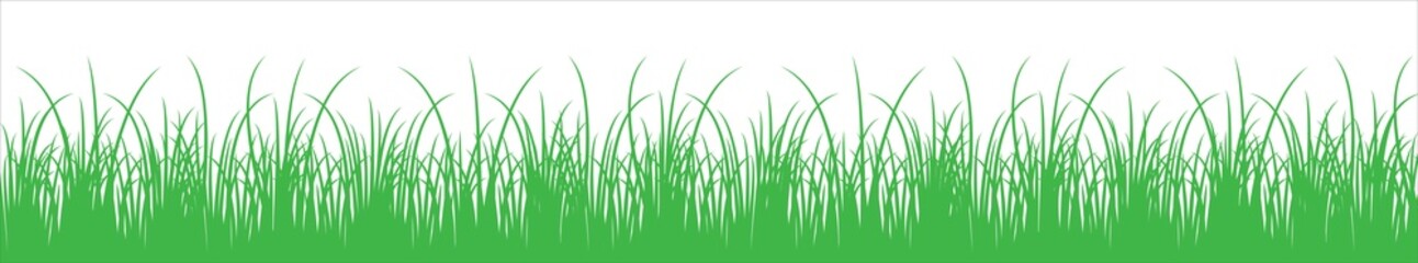 Green meadow vector illustration. Green grass vector silhouette