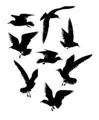 Set of eight silhouettes of flying seagulls