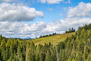 dense coniferous forest on top of the mountains with blue sky with clouds.