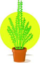 Vector home plant in a pot. Home plant icon. For print.