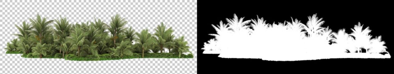 Fototapeta na wymiar Tropical forest isolated on background with mask. 3d rendering - illustration