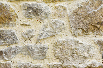 The texture of the wall, stones in the doggy space.