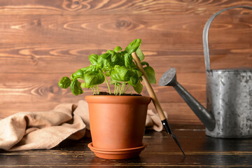 Fresh basil in pot and shovel on wooden background