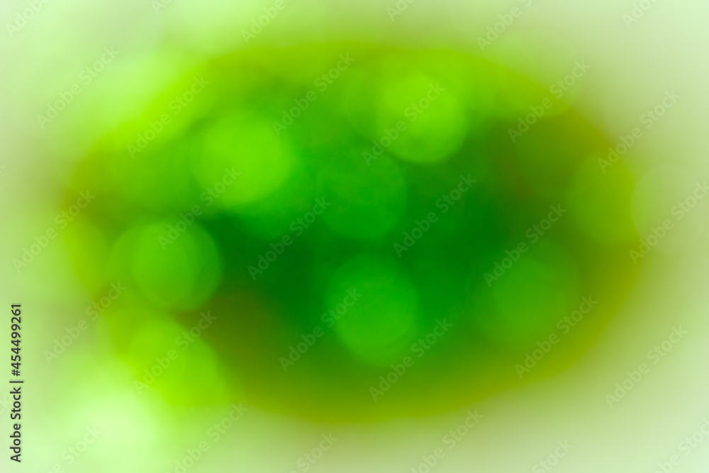 Poster abstract bokeh circles design on a green nature background